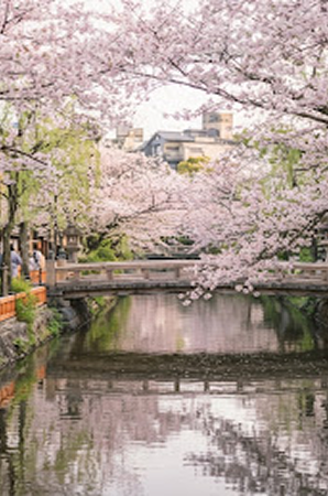 Spring Destination