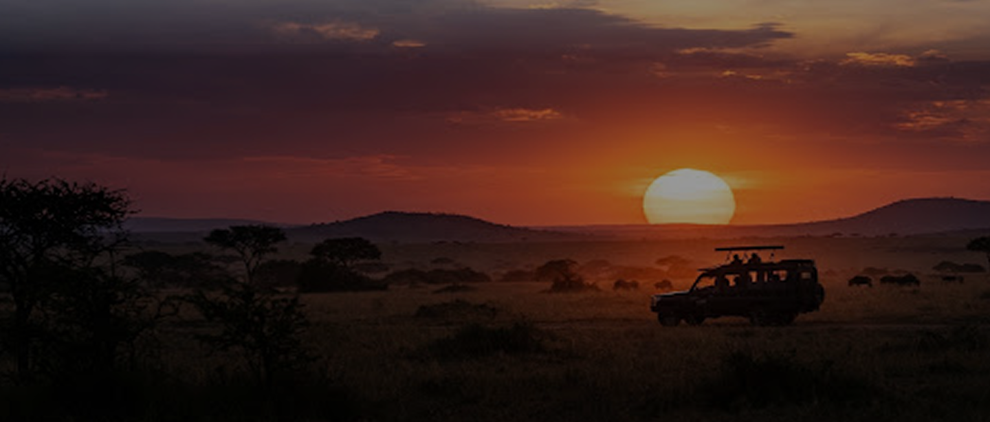 Safari Sunset - The World Is Waiting